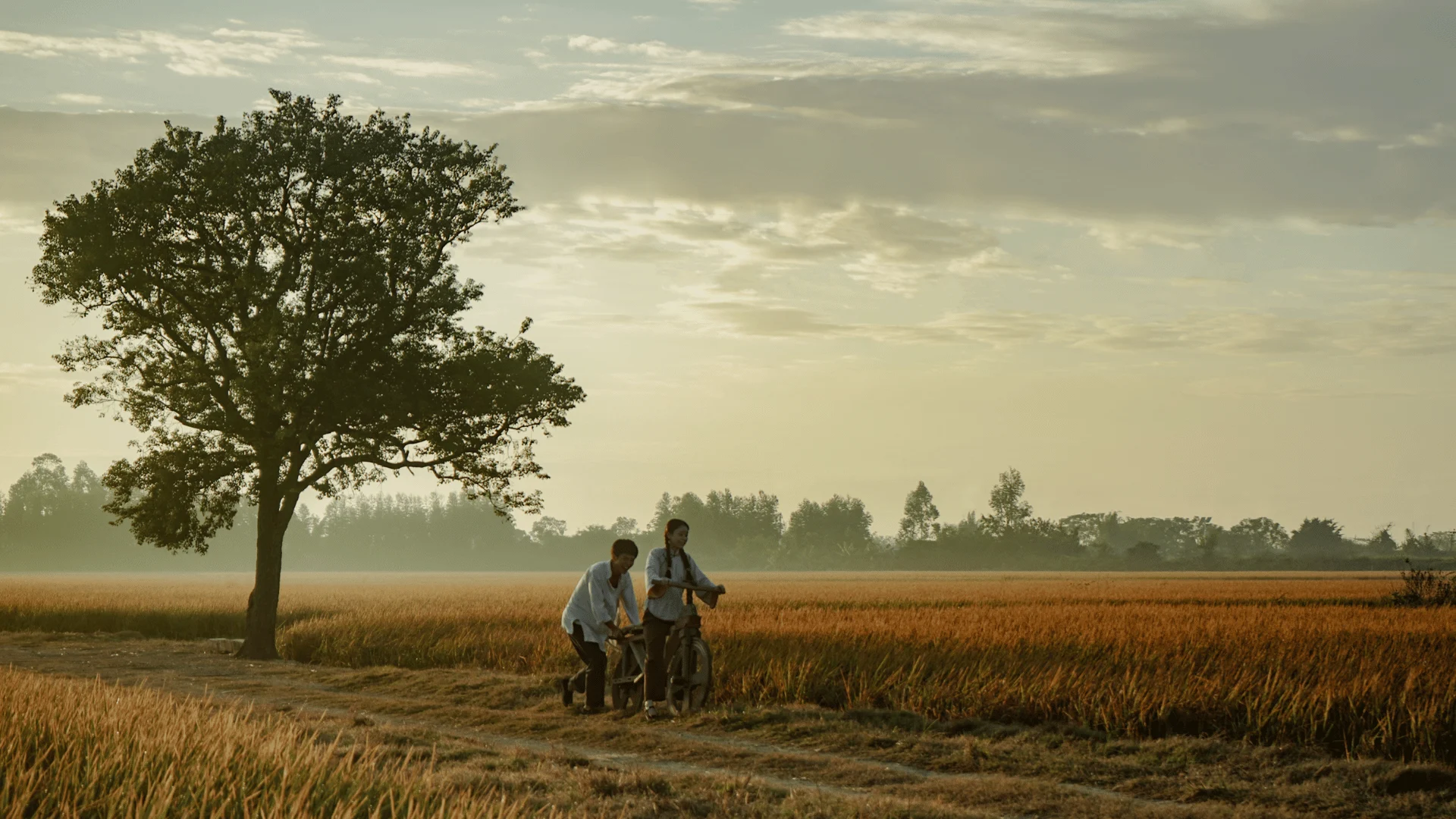 Two young people guide a bicycle through a golden field beneath a large tree in an official still from Dear You.