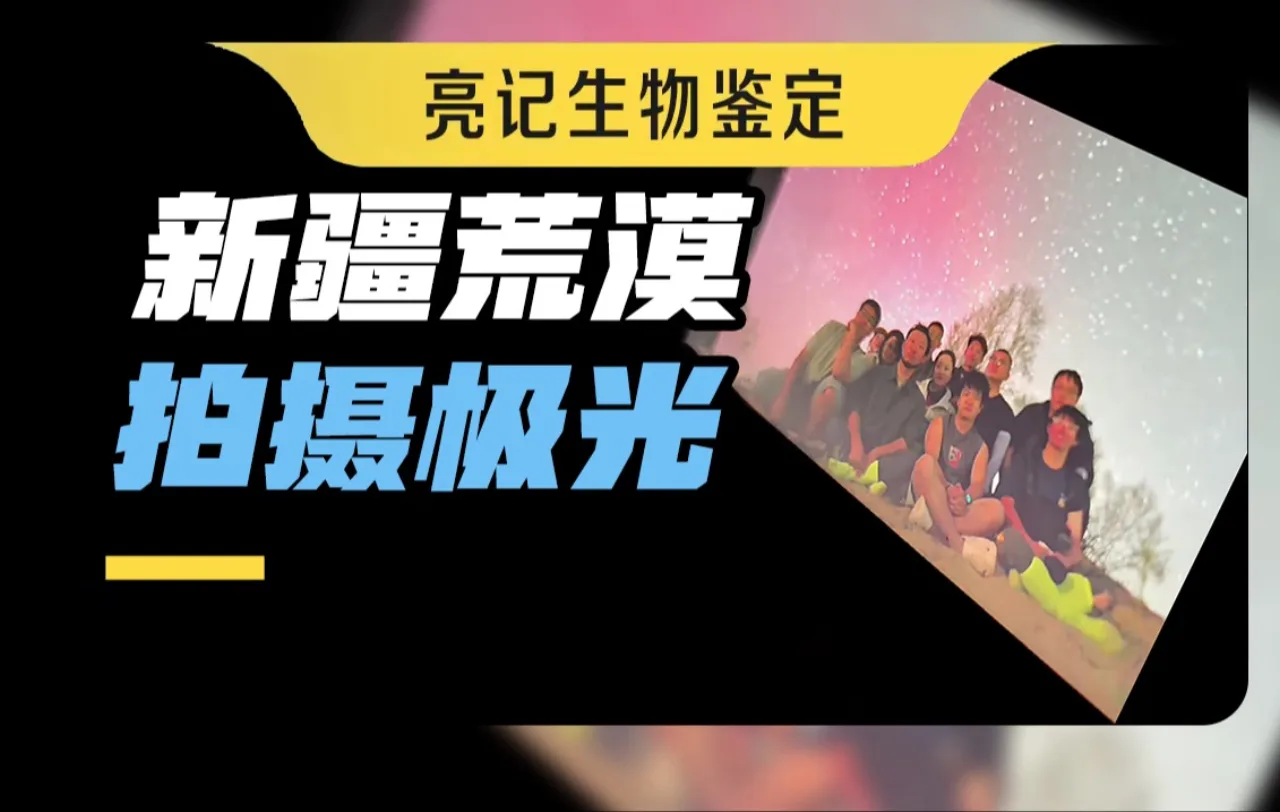 A Life Wonders Bilibili thumbnail combines large Chinese title text with a curved group photograph beneath an aurora-toned night sky.