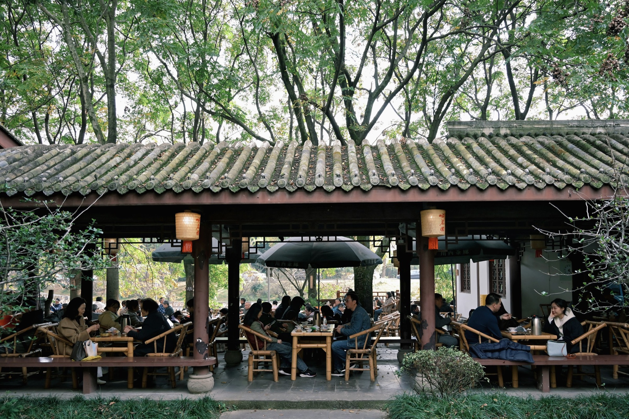 People talking and drinking tea beneath a tiled roof and trees at a Chengdu teahouse.