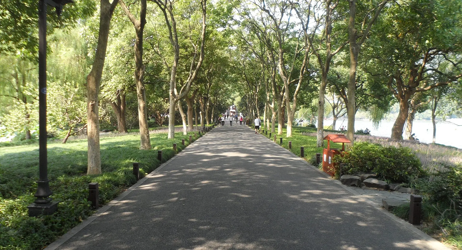 The tree-lined Su Causeway runs straight beside West Lake, with planted banks, lamps, paths and water visible together.